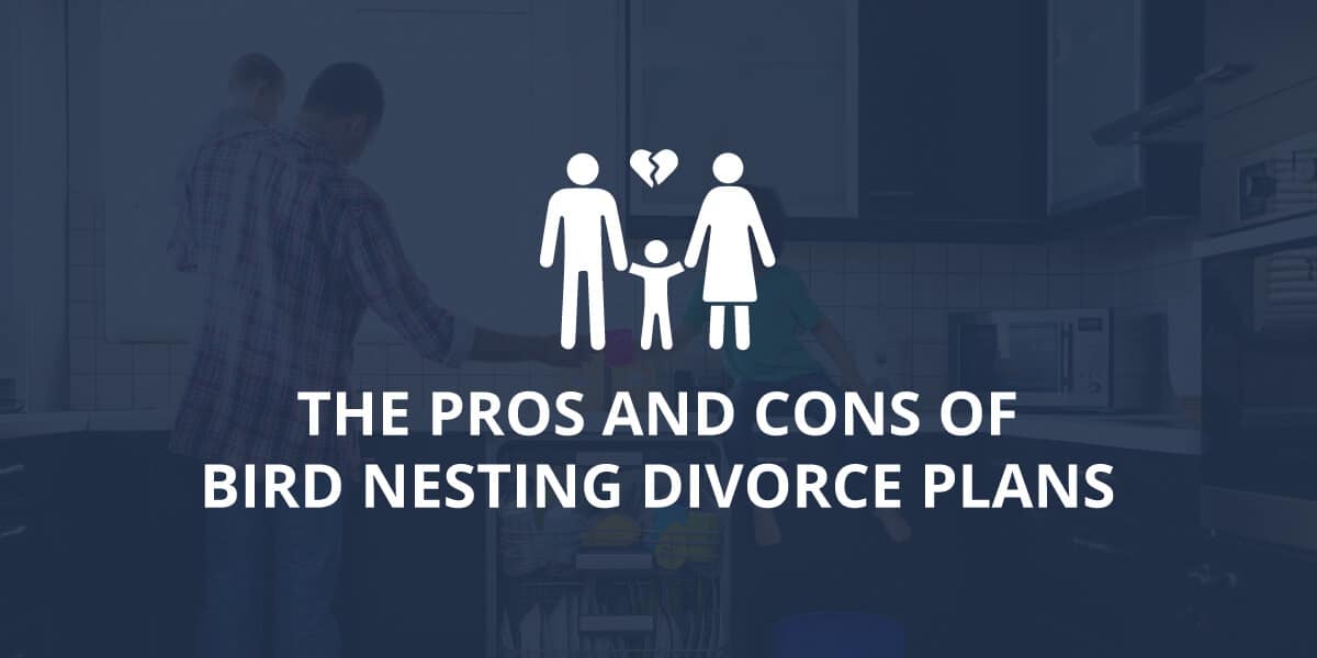 bird nesting divorce plans